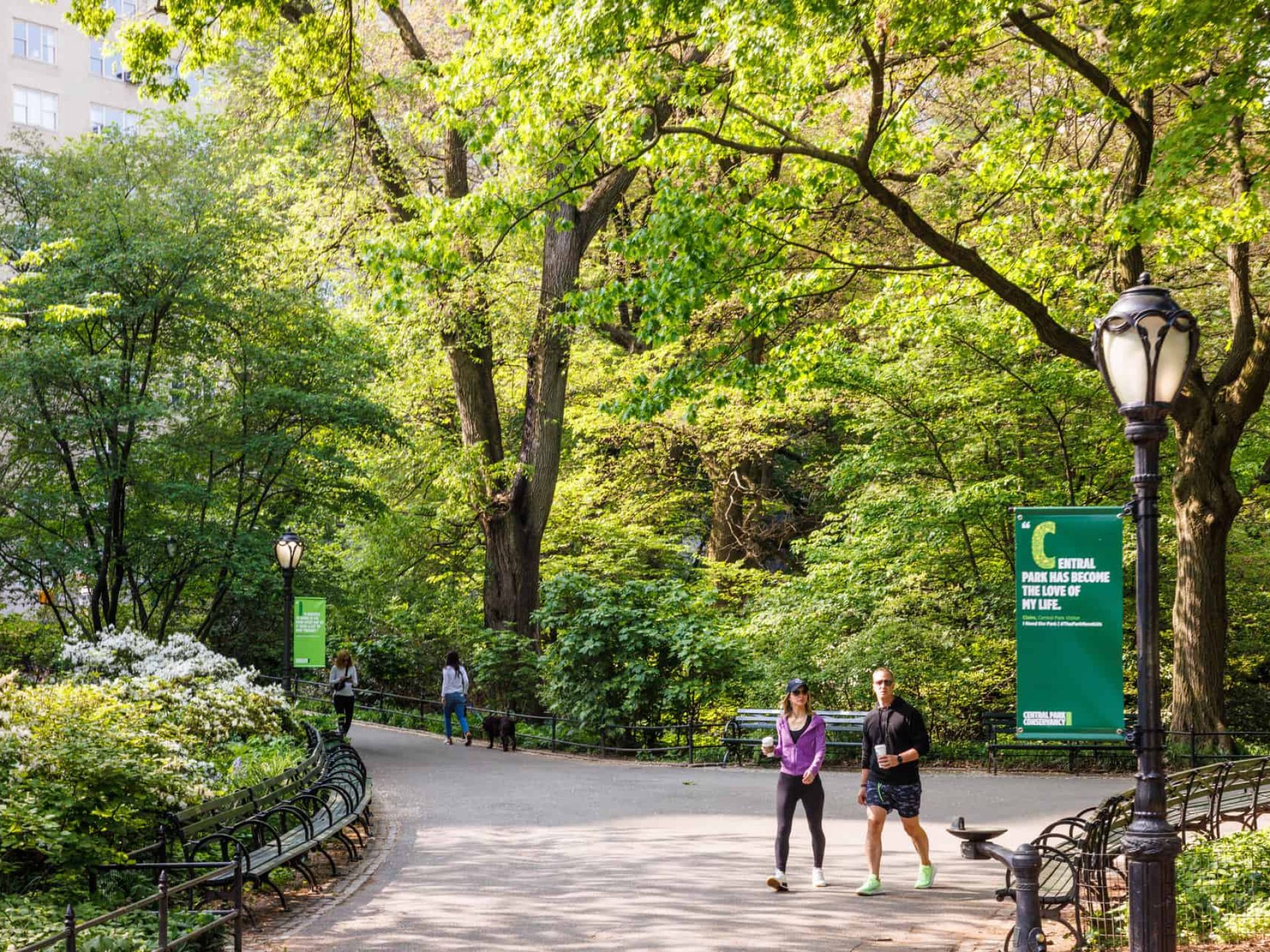 People walking on the stone paths in Central Park lined by railings with benches and trees & shrubs all around.